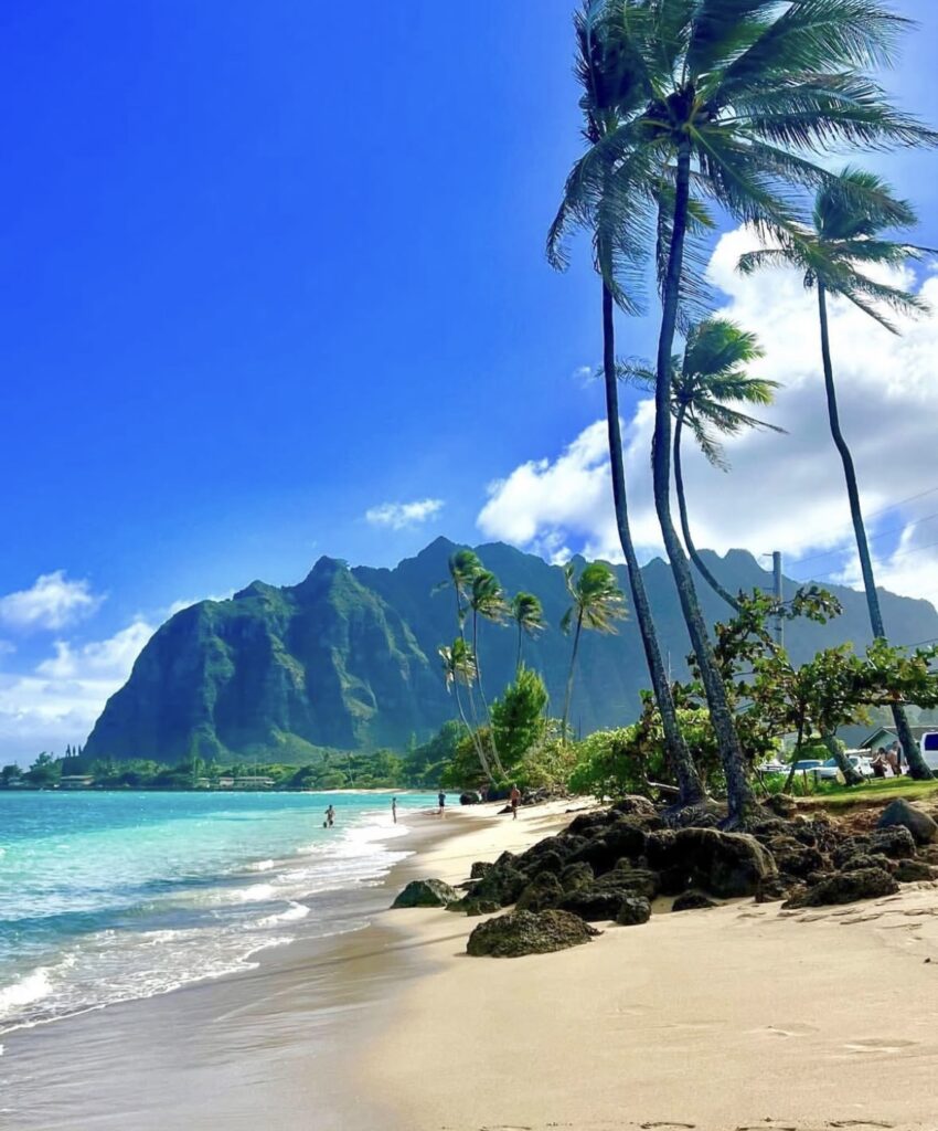 Obrazek posiada pusty atrybut alt; plik o nazwie IMG_1073-1-850x1024.jpg